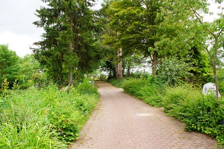 Lechenich