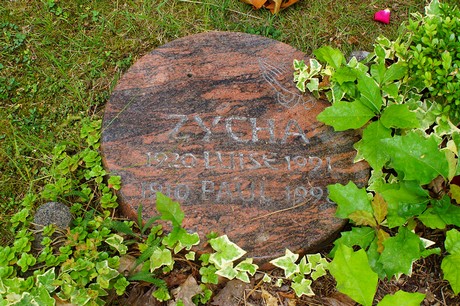 Lechenich