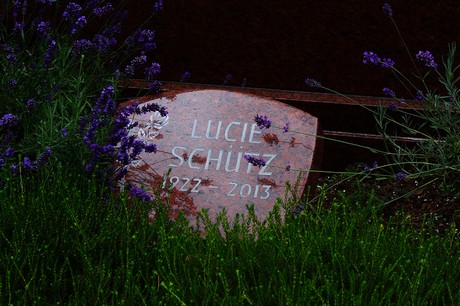 Lechenich