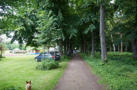 lechenich