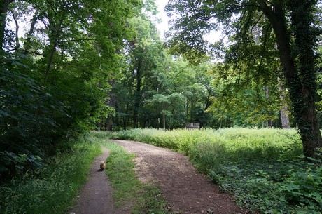 lechenich