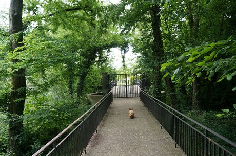 lechenich