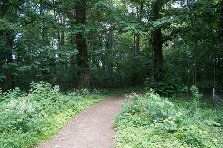 lechenich