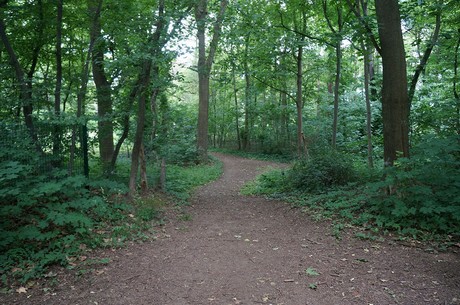lechenich
