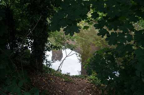 lechenich