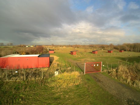 lechenich