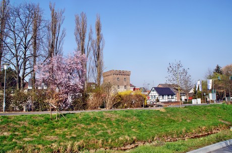 fischmarkt