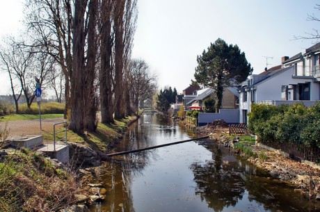 fischmarkt