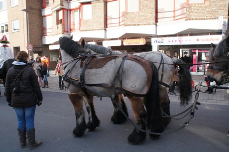 karnevalszug