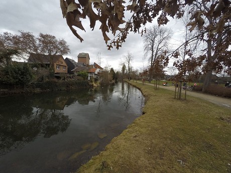 lechenich
