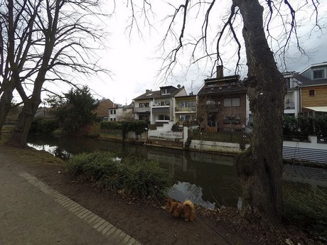 lechenich