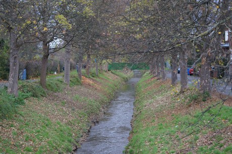 lechenich