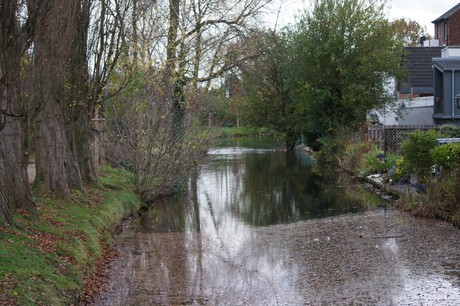 lechenich