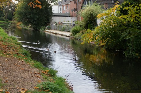 lechenich