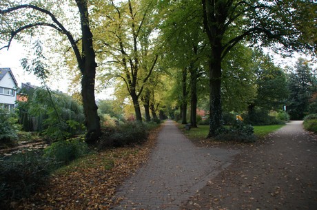 lechenich