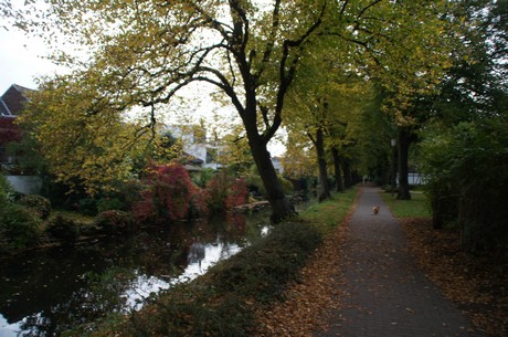 lechenich