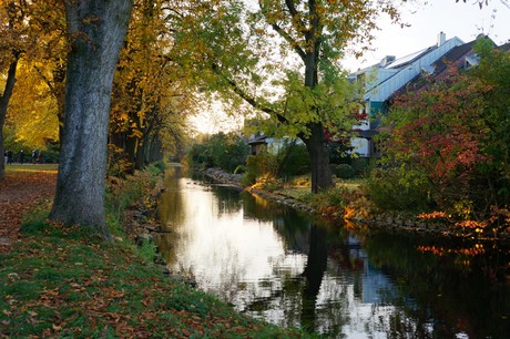 lechenich