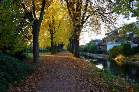 lechenich