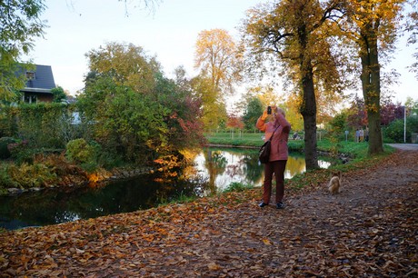 lechenich