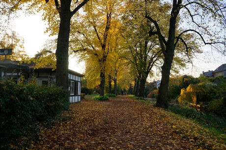lechenich