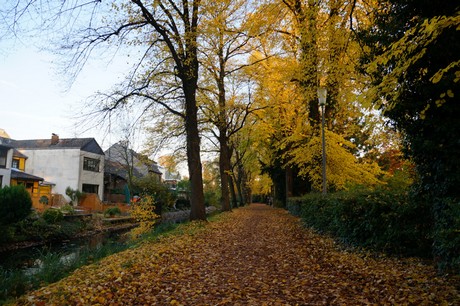 lechenich
