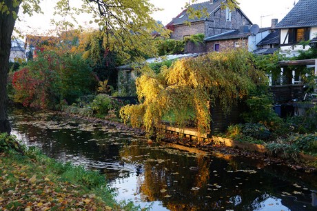 lechenich