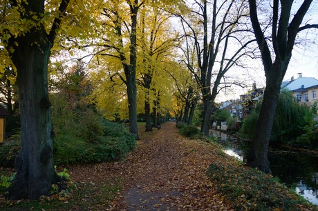 lechenich