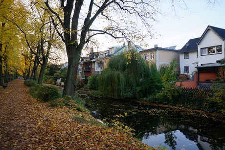 lechenich