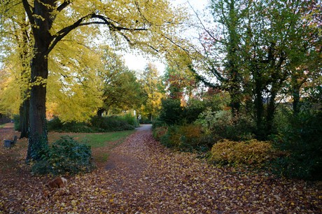 lechenich