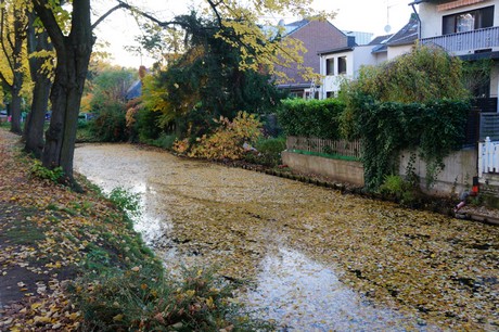lechenich