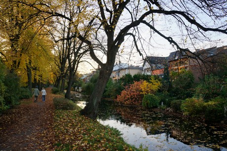 lechenich