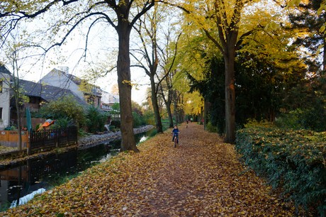 lechenich