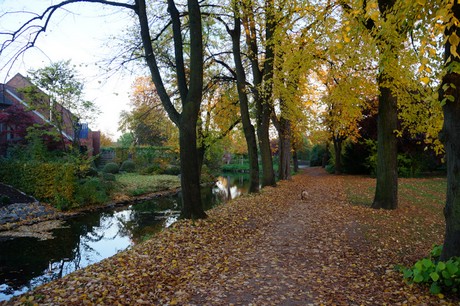 lechenich