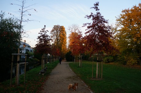 lechenich