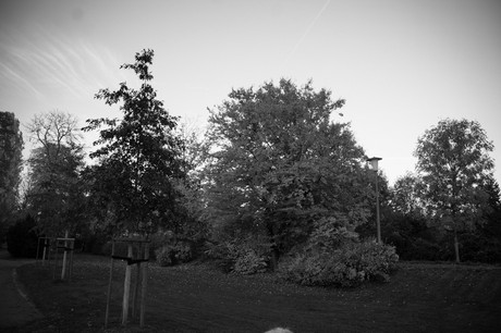 lechenich