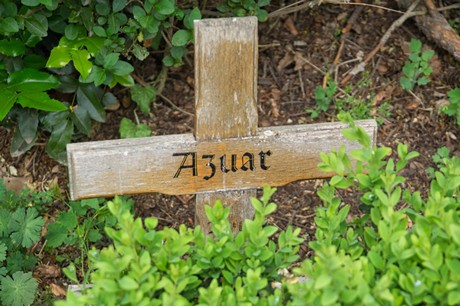 Liblar