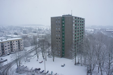 liblar