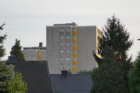 liblar-