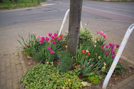 Lommersum