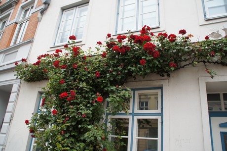 luebeck