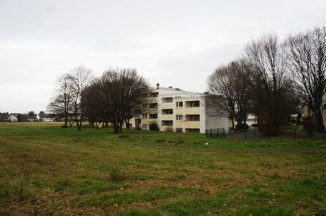 luelsdorf