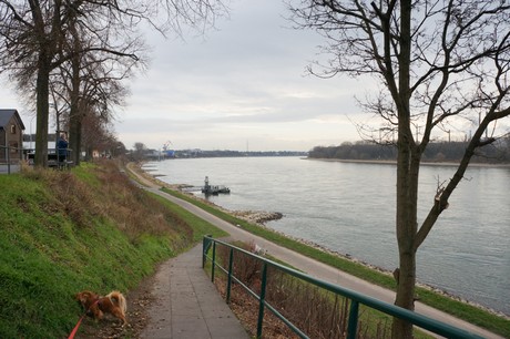 luelsdorf