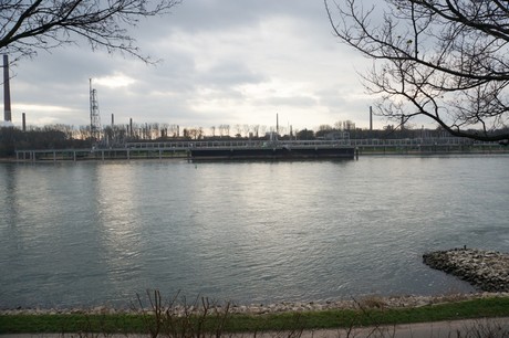 luelsdorf