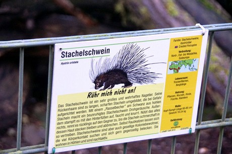 luenebach
