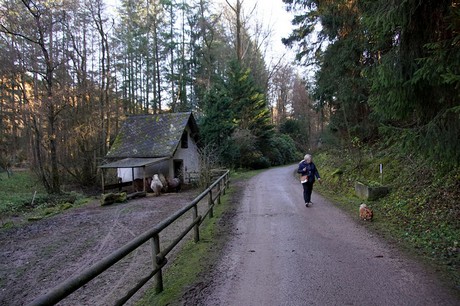 luenebach