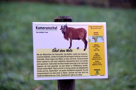 luenebach