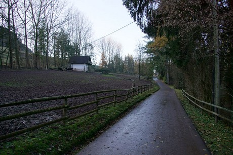 luenebach