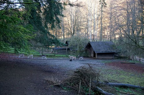 luenebach