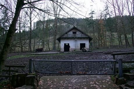 luenebach