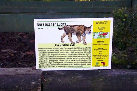 luenebach